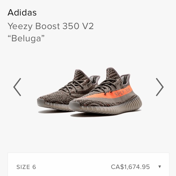 Yeezy boost 350 v2 Bellugar